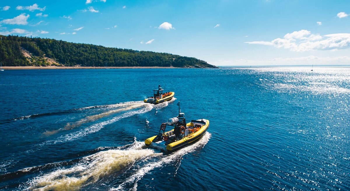 Saguenay Fjord Zodiac Expedition & Beluga Whale Encounter