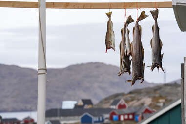 Deep-Sea Cod Fishing & Fresh Catch Lunch in Ammassalik Fjord
