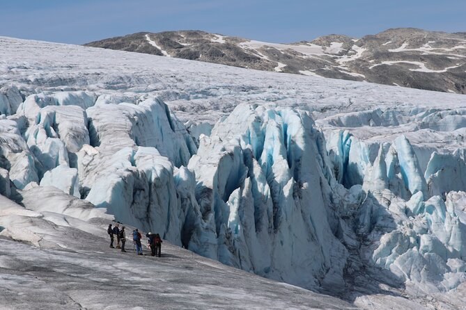 Guided Glacier Hike on Skjoldungen Ice — Expert Naturalist Led
