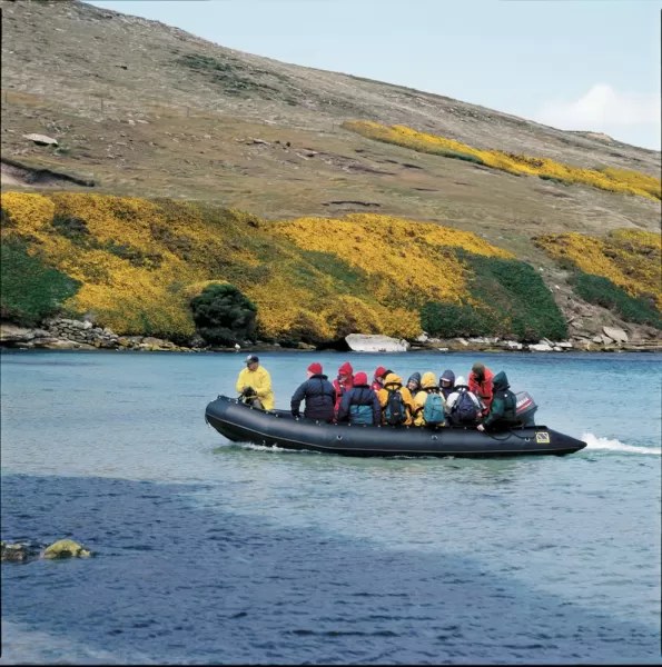 Wildlife Spotting Expedition: Whales, Seals & Arctic Seabirds