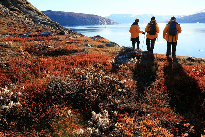 Tundra Hike & Greenlandic Foraging with a Local Expert