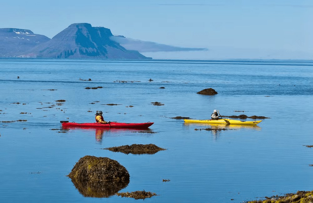 Breiðafjörður Sea Kayaking: Fjord Islands & Birdlife