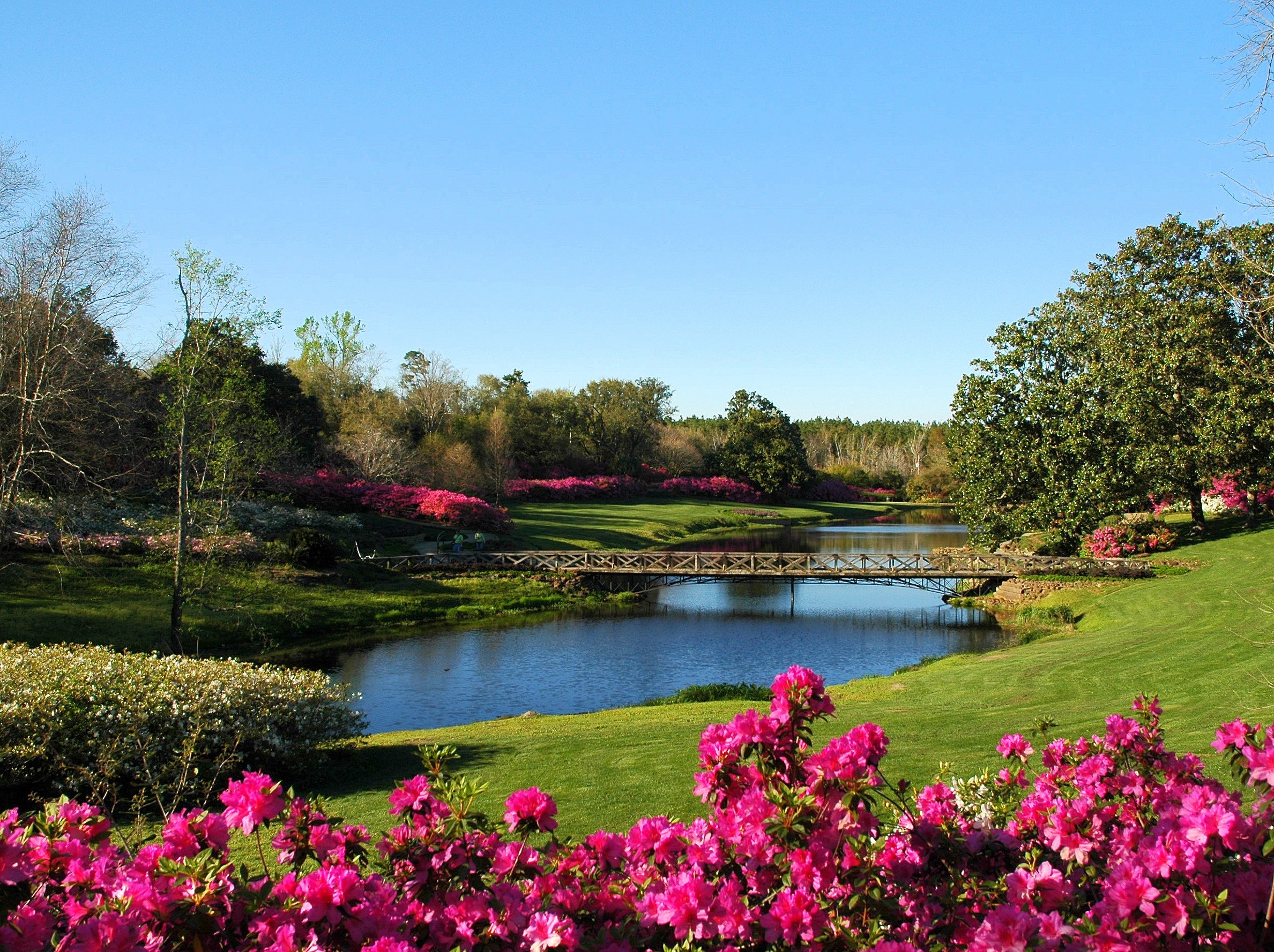 Bellingrath Gardens: Private Estate Tour & Secret Bayou Walk
