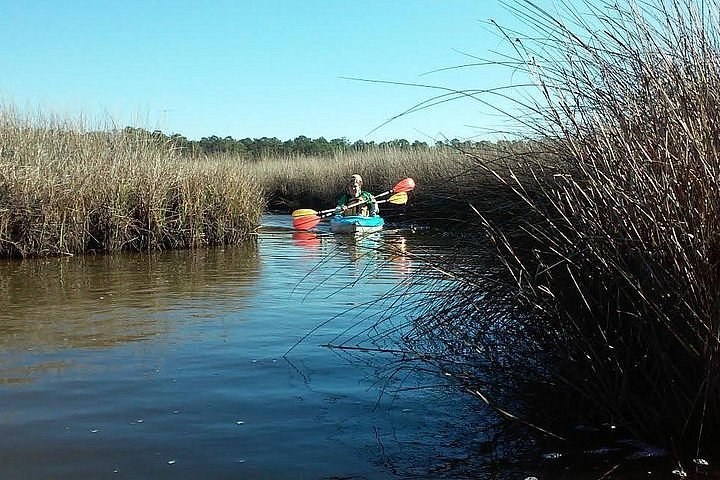 Bon Secour National Wildlife Refuge: Private Naturalist Kayak