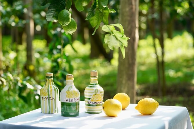 Sorrento Lemon Grove & Limoncello Masterclass: Private