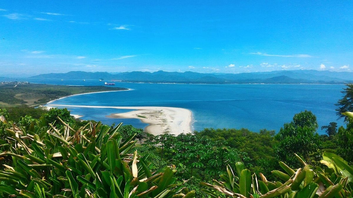 Babitonga Bay Private Boat Tour: Islands, Dolphins & Mangroves