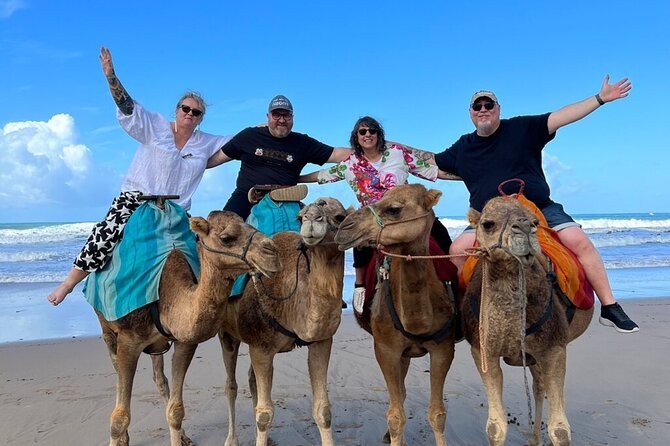 Tangier Day Voyage: Private Guided Morocco Crossing