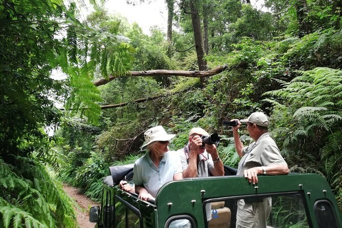 Full-Day Private Jeep Safari: Levadas, Villages & Laurisilva Forest
