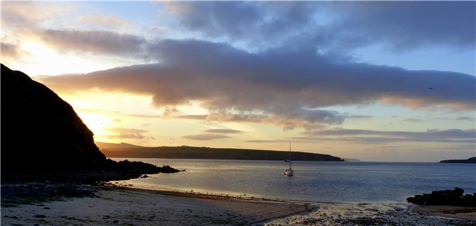 Bardsey Birdwatching Expedition: Rare Migrants & Seabirds