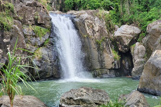 Private Rainforest & Waterfall Hike, El Yunque — Puerto Rico