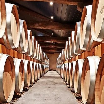 Private Côtes de Blaye Wine Château Tour & Barrel-Cellar Tasting