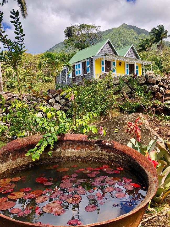 Nevis Day Trip: Alexander Hamilton Estate & Thermal Springs