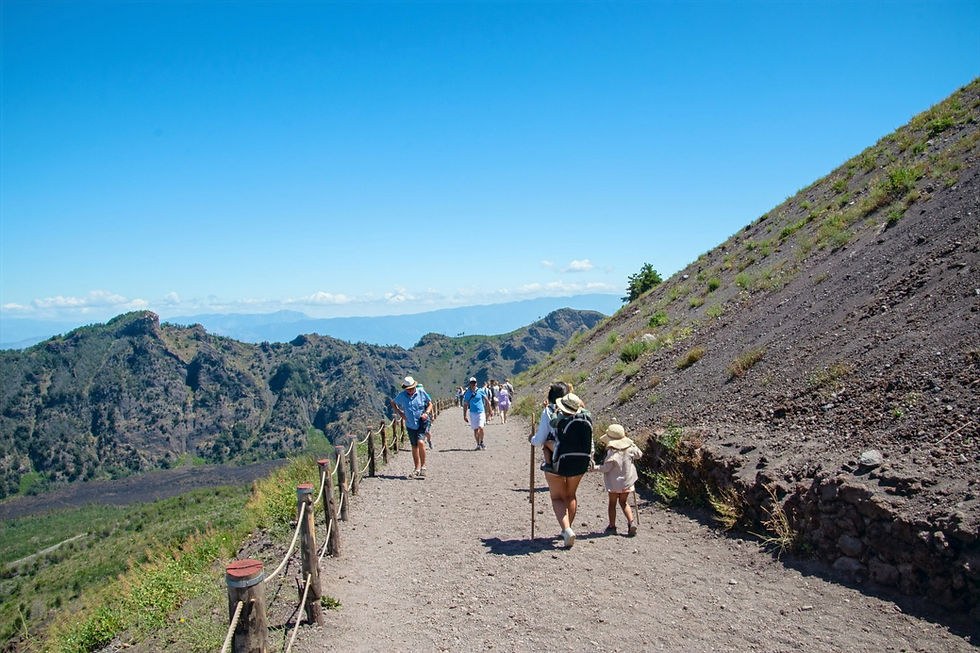 Mount Vesuvius Summit Hike with a Private Volcanologist
