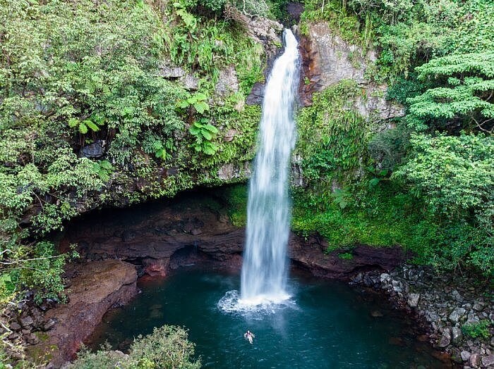 Taveuni Island: Garden of Eden Waterfall & Rainforest Hike