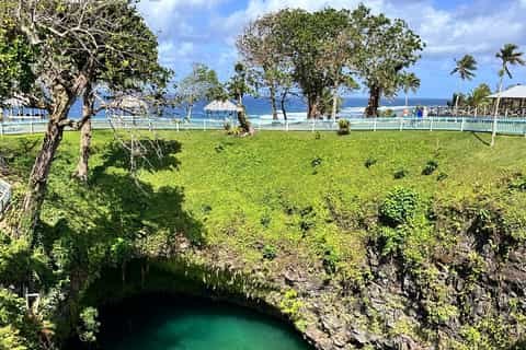 Apia, Samoa: Private Fa'a Samoa Cultural Immersion Day