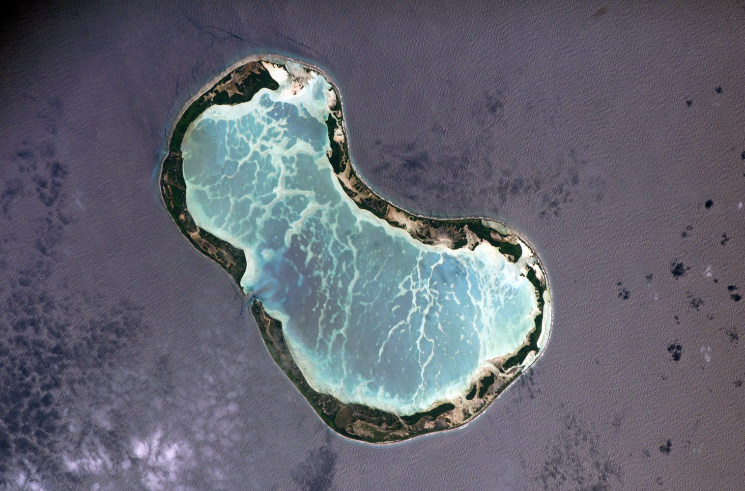 Fanning Island (Tabuaeran), Kiribati: Pristine Reef Drift Snorkel