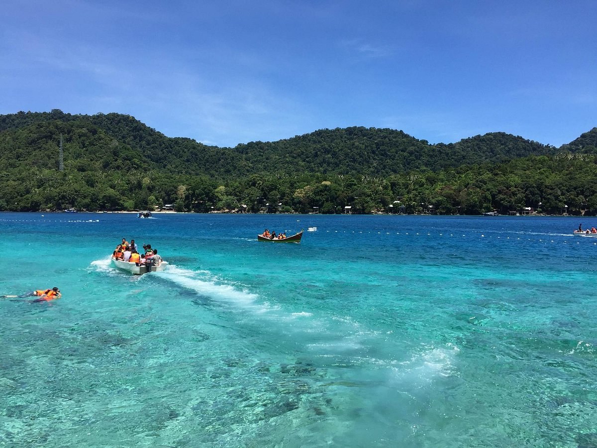 Rubiah Island Private Dive: World-Class Coral Gardens
