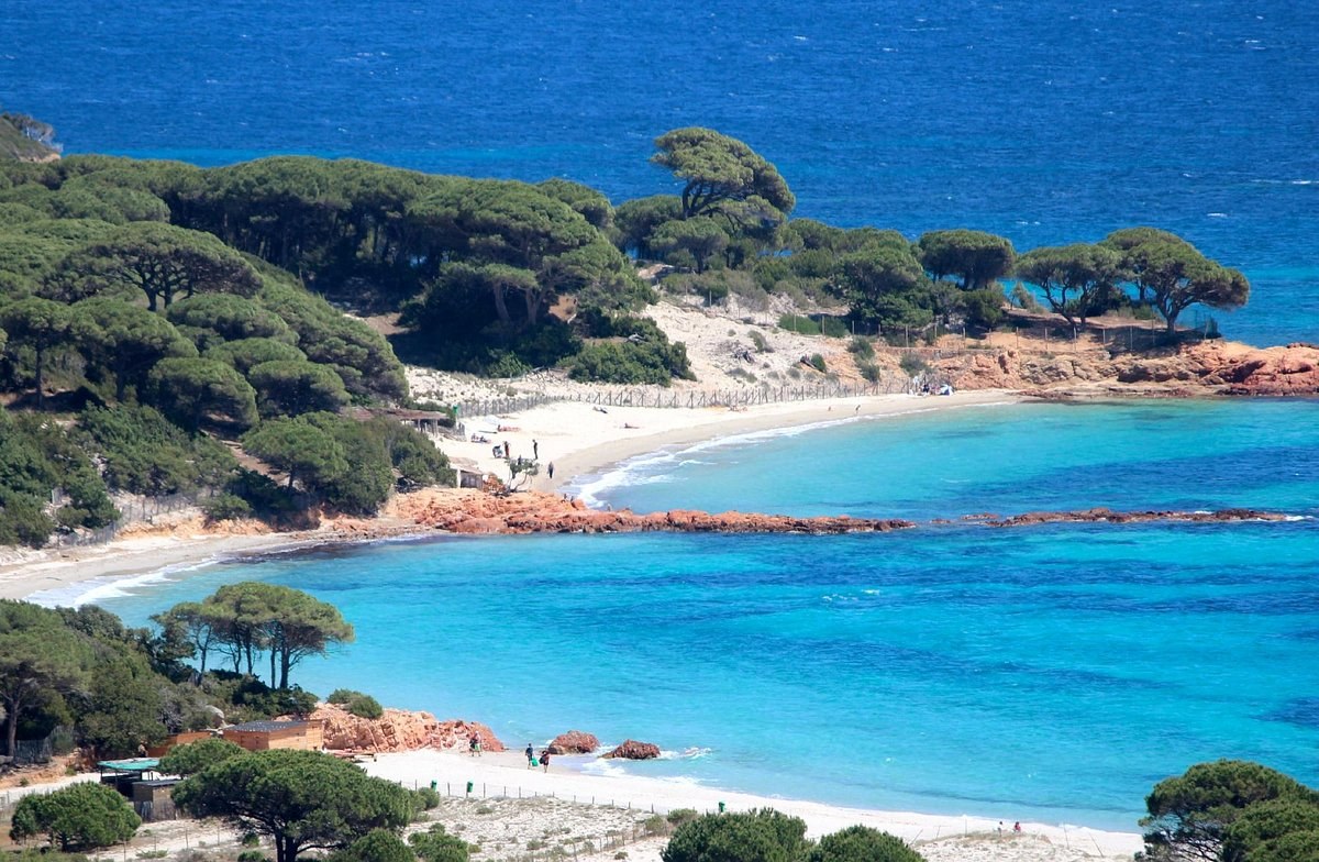 Palombaggia Beach: Private Guided Coastal Morning