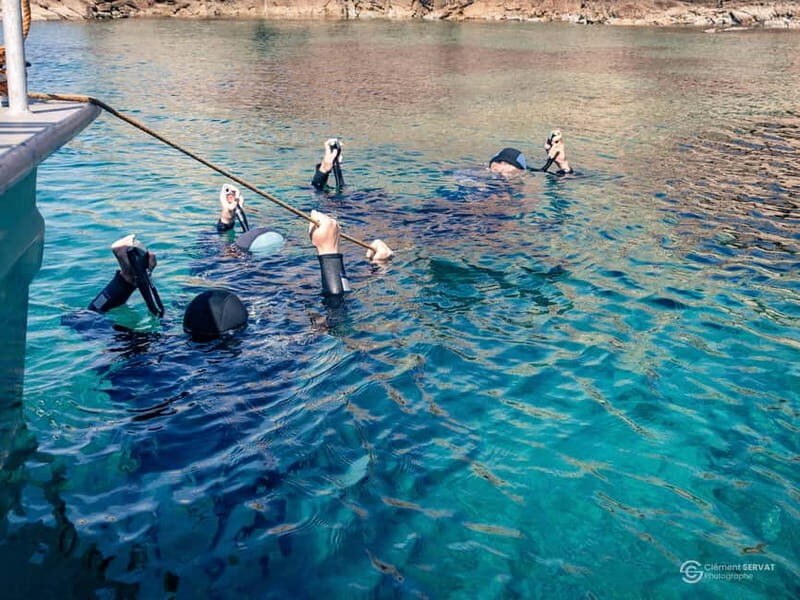 Beginner Scuba Dive: Cerbicale Islands Marine Reserve