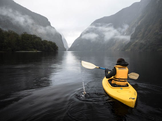 Doubtful Sound Kayaking Day Expedition