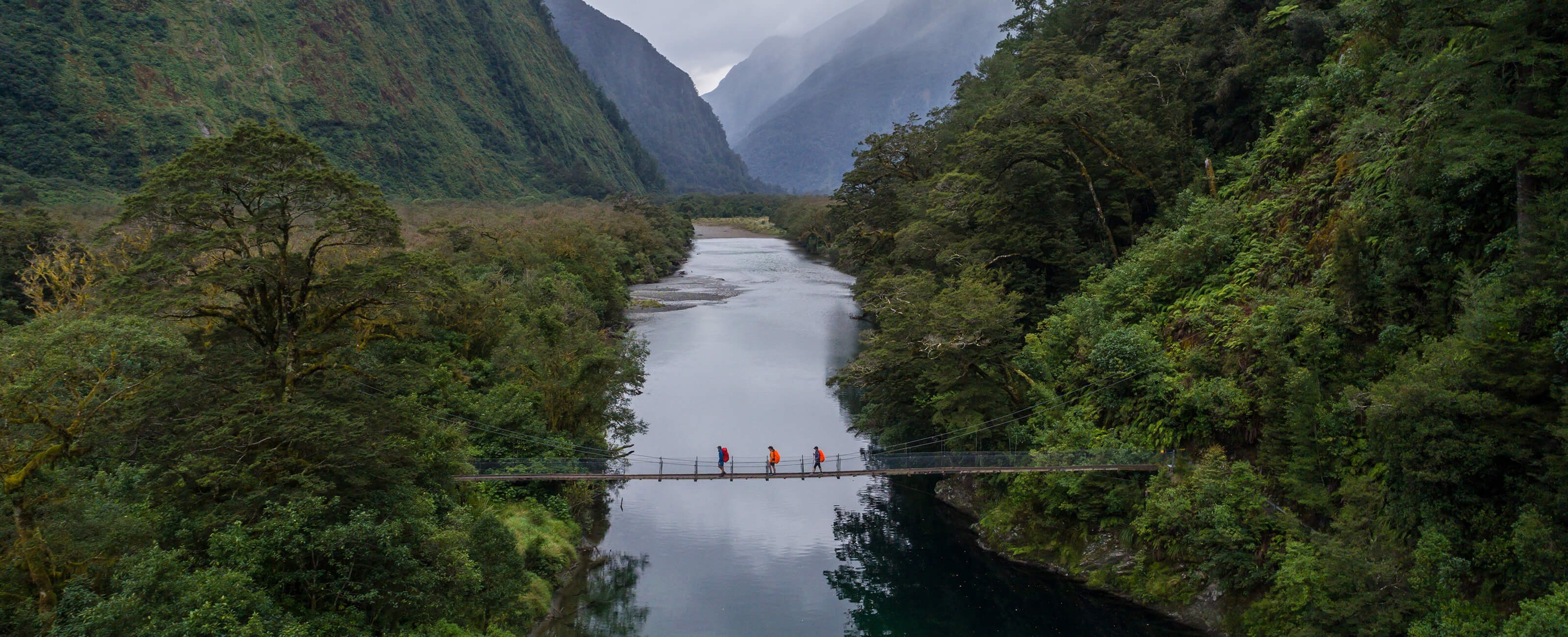Milford Track Guided Day Walk: New Zealand's 'Finest Walk'