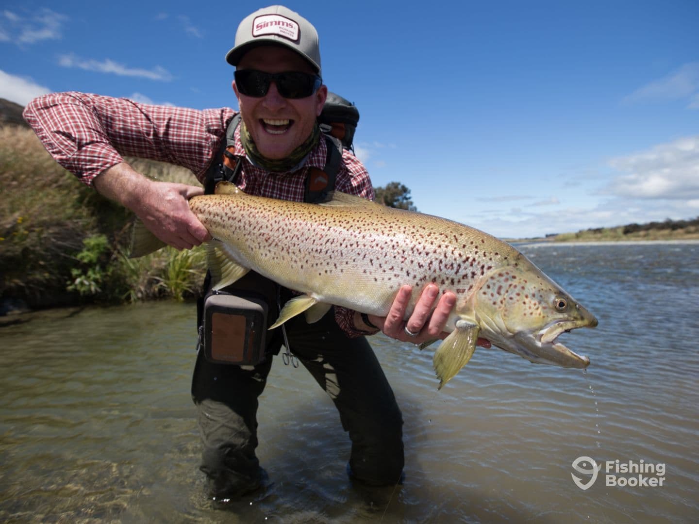 Fiordland Wilderness Fly-Fishing for Brown Trout