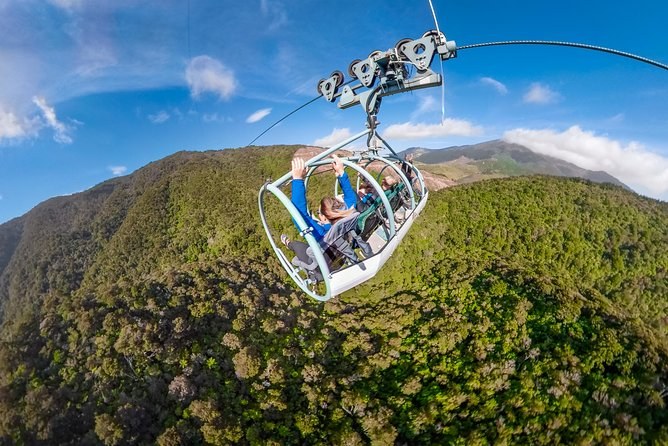Skywire Nelson: New Zealand's Longest Flying Fox at Cable Bay