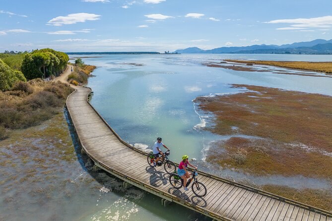 Waimea Plains & Moutere Hills: Private E-Bike Wine & Olive Trail