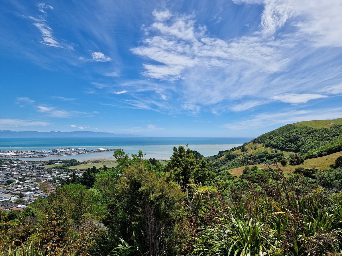 Nelson Arts & Heritage Immersion: Centre of New Zealand + Warwick Workshop