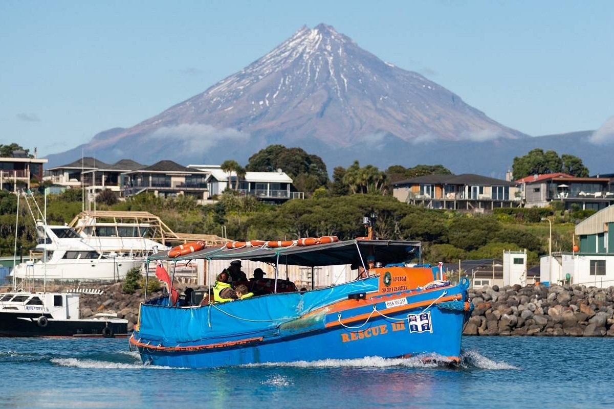 Chaddy's Charters: Ocean Wildlife & Coastal Cruise