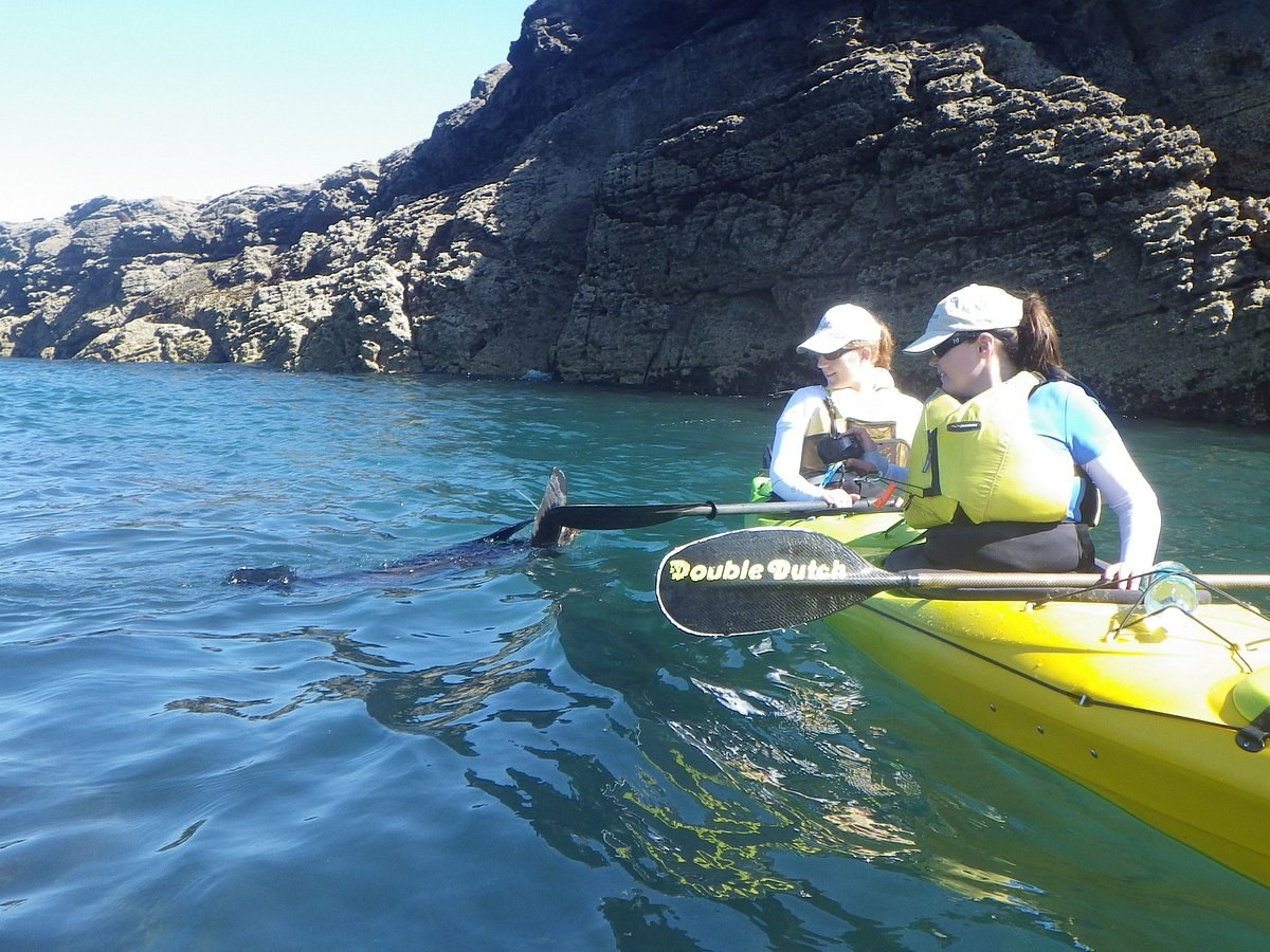 Canoe & Kayak Tours: Sea Kayak the Taranaki Coastline