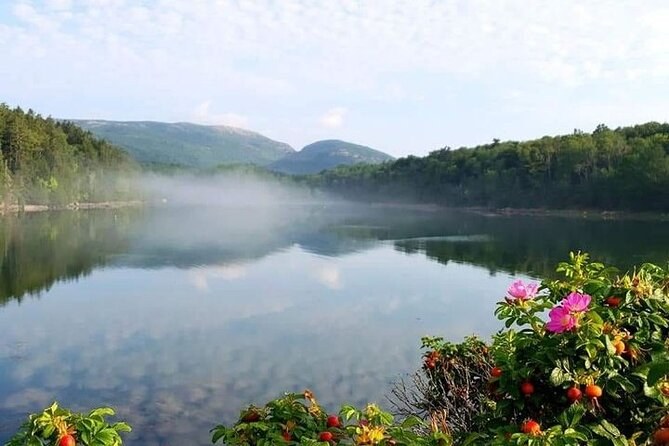 Acadia National Park: Private Guided Half-Day Carriage Road Tour