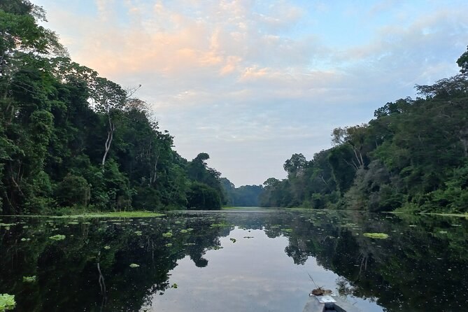 Amazon Essence: Private Shore Expedition — River, Rainforest & Tribes