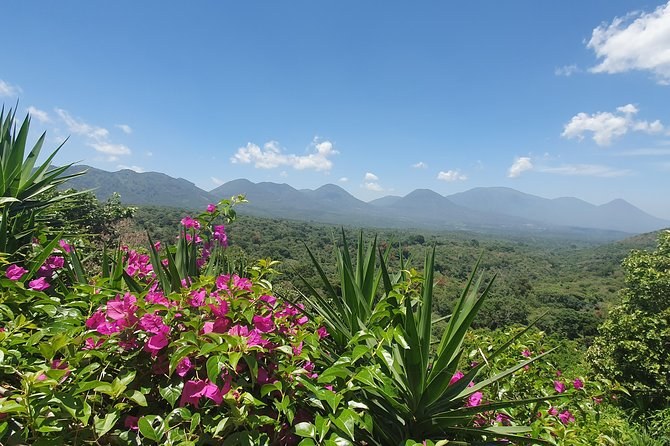 Ruta de las Flores: Coffee Farm, Colonial Villages & Waterfalls
