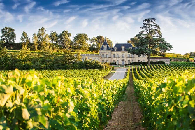 Saint-Émilion Private Wine Estate Tour & Grand Cru Tasting