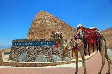 Jerusalem & Dead Sea: Private Sacred & Natural Wonder Day