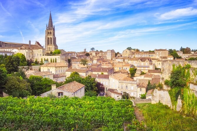Médoc Classified Châteaux: Private Half-Day Grand Cru Tour