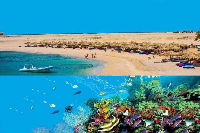 Dolphin House & Coral Reef Snorkel: Small-Group Boat, Hurghada