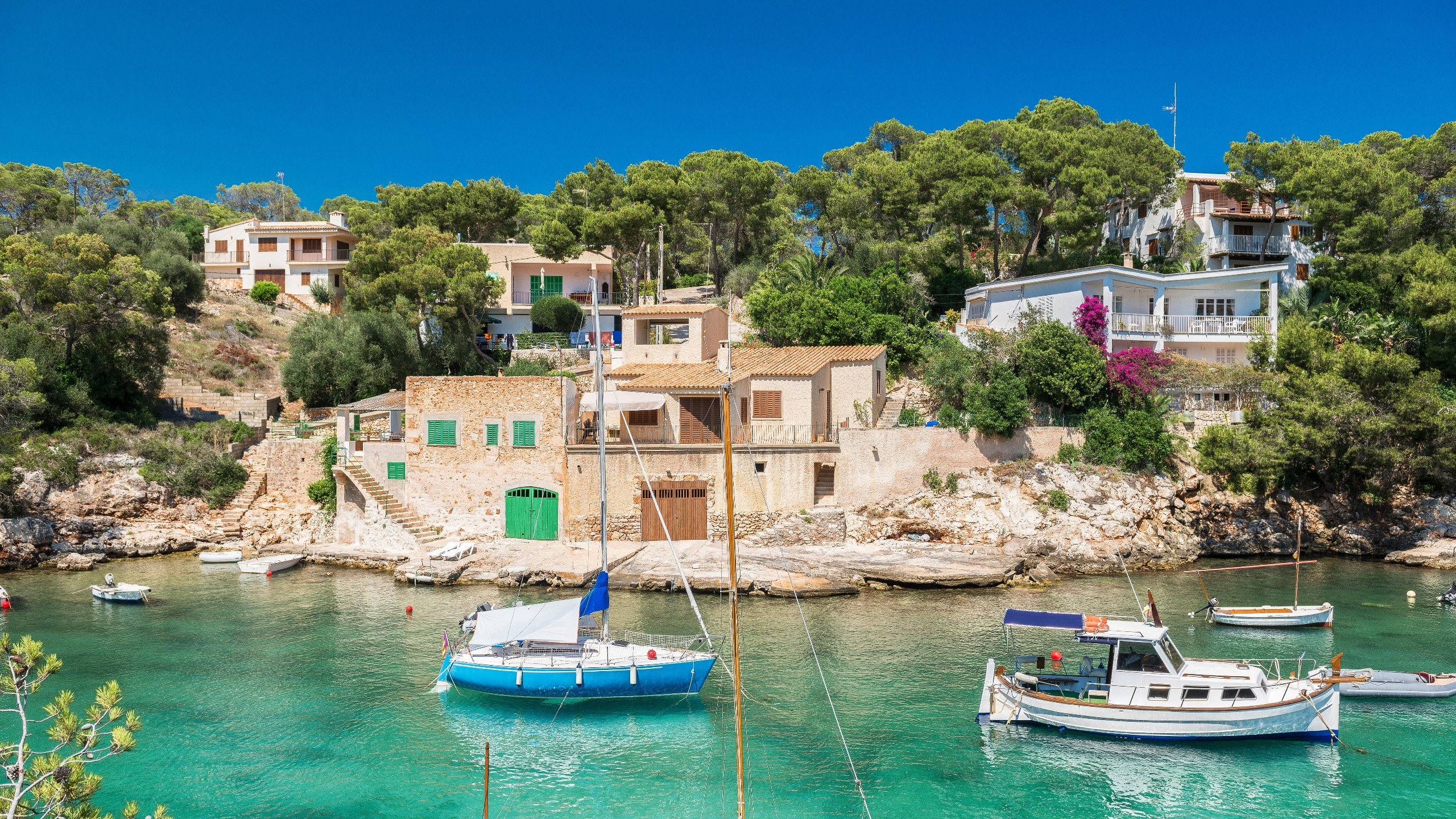 Mallorcan Wine & Vineyard Experience: Private Estate Tour & Tasting