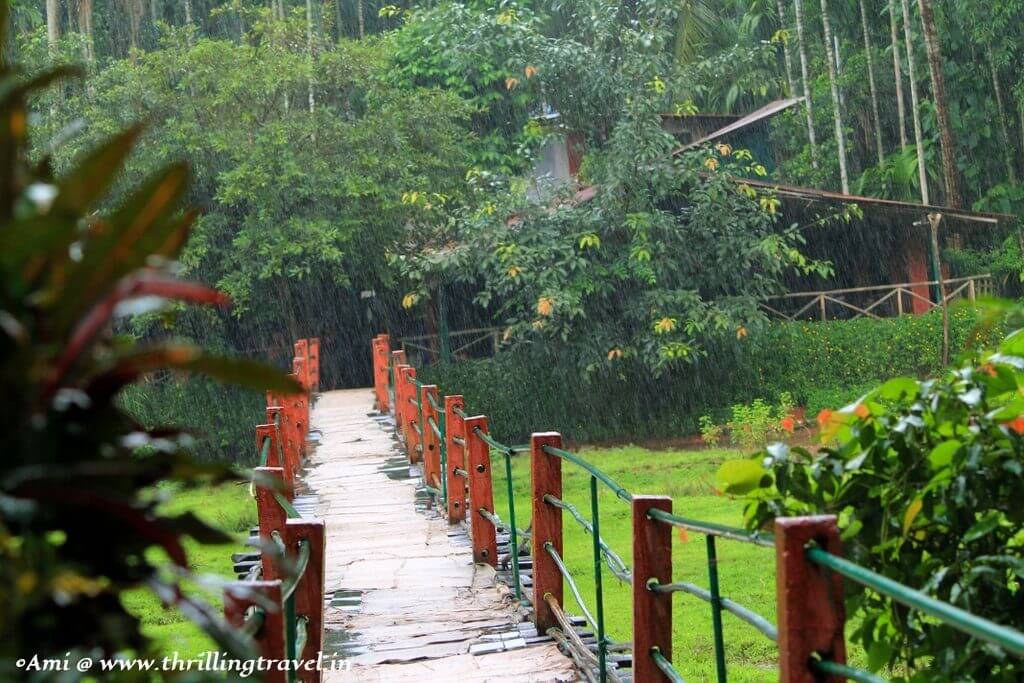 Ancestral Goa Spice Plantation: Private Farm-to-Table Experience