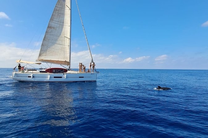 Dolphin Watching Sailing Cruise with Snacks & Open Bar