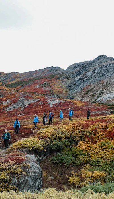 Labrador's Basque & Inuit Heritage: Expert-Guided History Walk