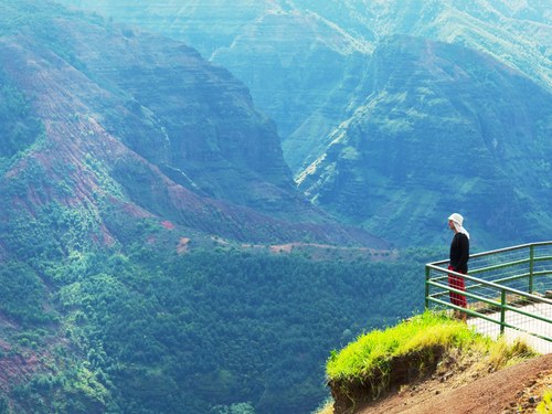Waimea Canyon & Wailua River Fern Grotto Combo