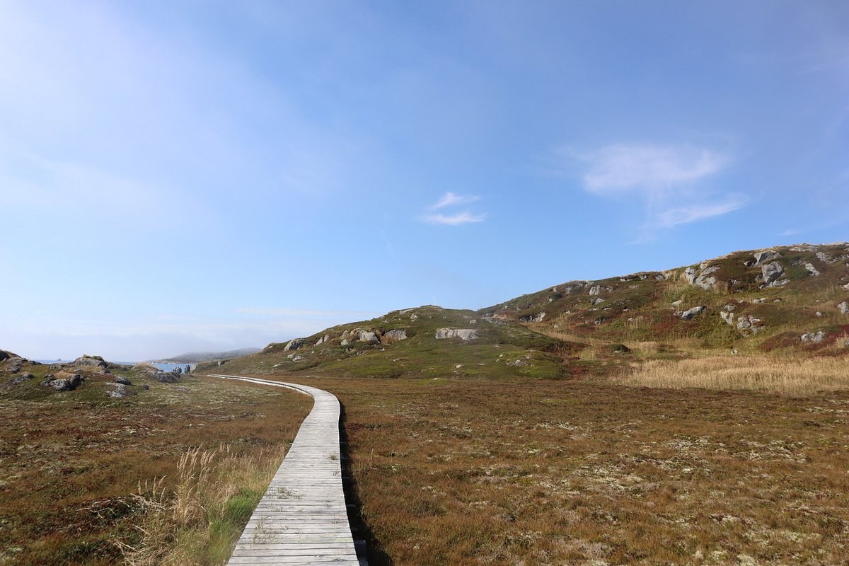 Saddle Island Archaeology Walk: Private Interpreter Experience