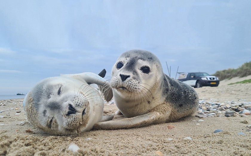Ecomare Seal Sanctuary & Island Nature Centre