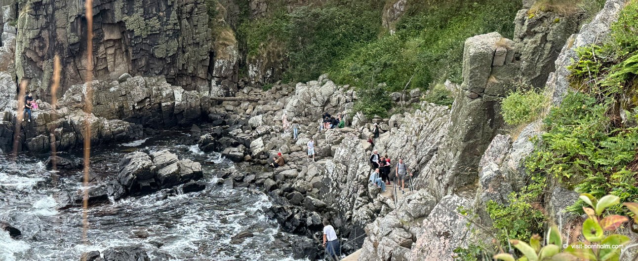 Helligdomsklipperne: Cliffside Walk & Boat Safari