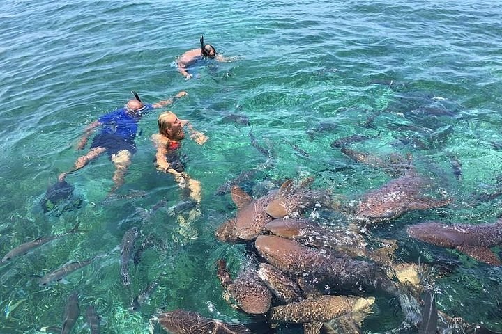 Belize Barrier Reef Private Snorkel: Hol Chan & Shark Ray Alley