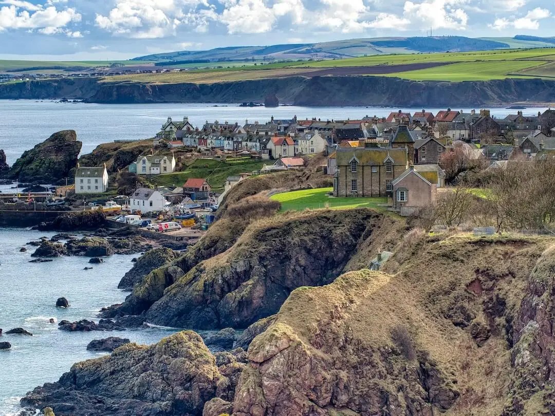 St Abb's Head: Guided Clifftop Walk & Seabird Colony