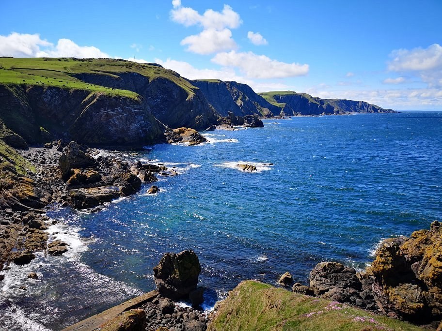 St Abbs Wildlife Boat Tour: Seabirds, Seals & Sea Caves