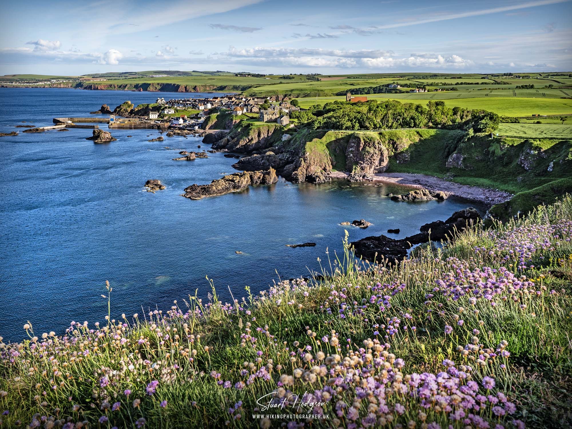 Pettico Wick & Coastal Wildflower Walk: Scenic Photography Hike